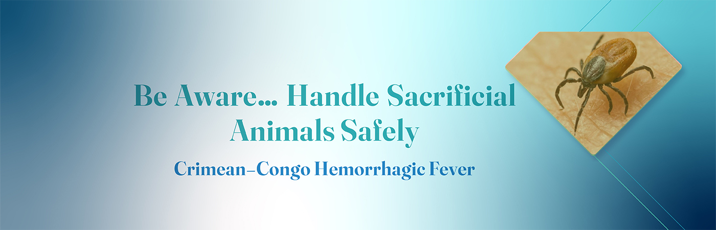 Crimean - Congo Hemorrhagic Fever