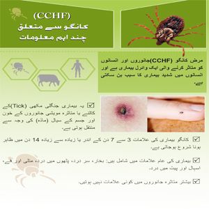 Crimean Congo Haemorrhagic Fever (by Ordo Languge)