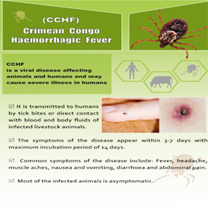 Crimean Congo Haemorrhagic Fever (by English Languge)